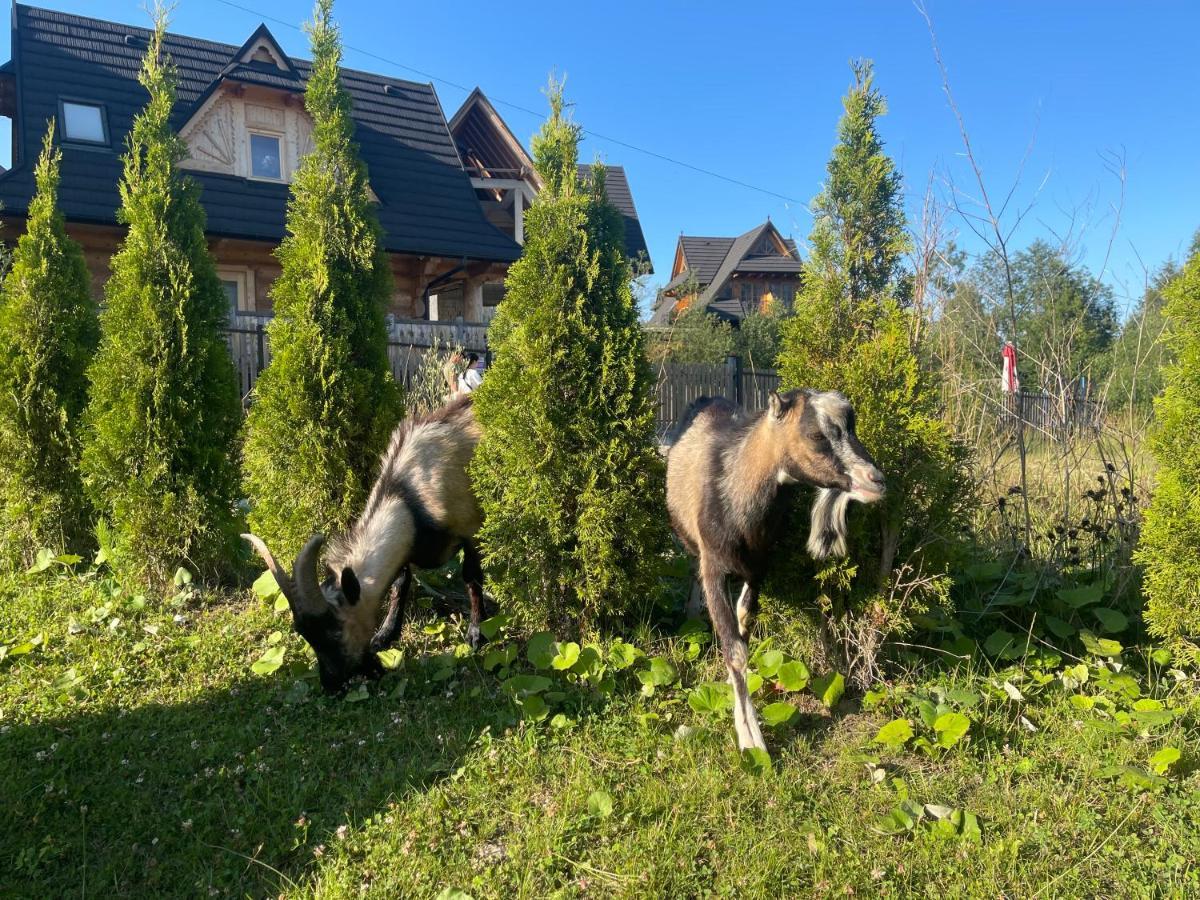 Aspen Szymaszkowa Apartmán *